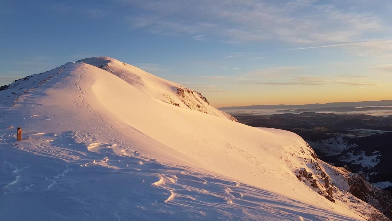 Les Paquerettes N3 * Le Mont-Dore